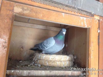 ��־�룺��һ������ �ֶ�ɸ�λ(ͼ)