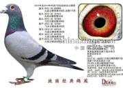 �����ֹ�������������깫�����(ͼ)