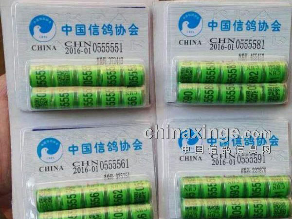 ̫���棺�����㻷���ܶ���Ӯ��(ͼ)