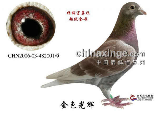 ����Լƻ����ȶ����ٶ�(ͼ)