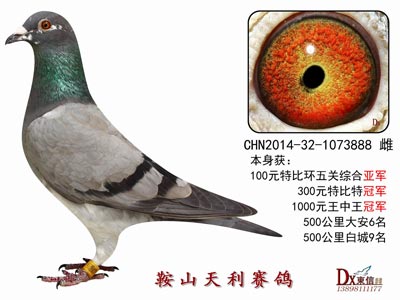 С��Ӯ�󻧣�һ���رȻ���ͨ��(ͼ)