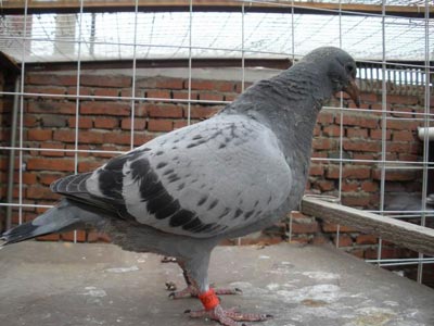 ���ż��Ͳ͹� �ٹ����������