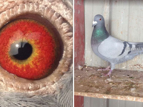 ��ָ����������Կ�����(ͼ)