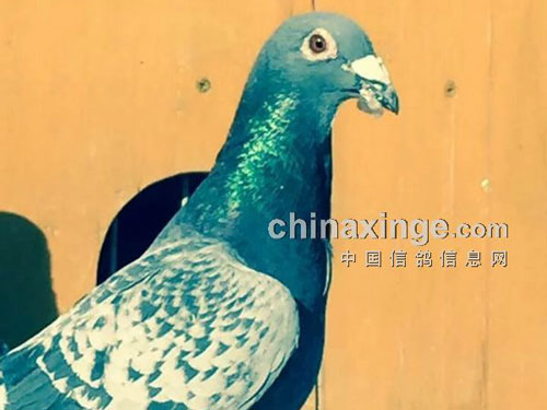 �����ò��ã�������๹ұ��飡(ͼ)