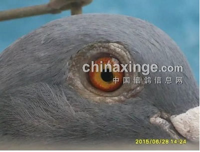 ����Ե�����ø룿(ͼ)