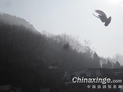 ʱ������ ��غ�������͵İ���