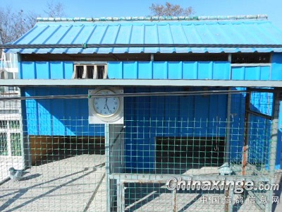 ����20�ȵĸ���(ͼ)