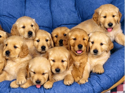 ����12����ɹ� �����ص����ǰ