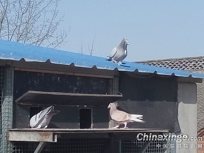 ����һ�죺���ҷ� �Բ����������(ͼ)