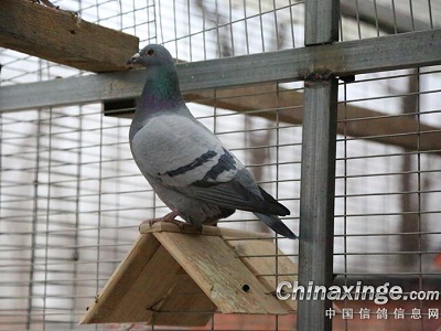 ��߯���۸ɵ����£���ȡů���͸�(ͼ)