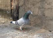 ��������ǰ�Ĺ���