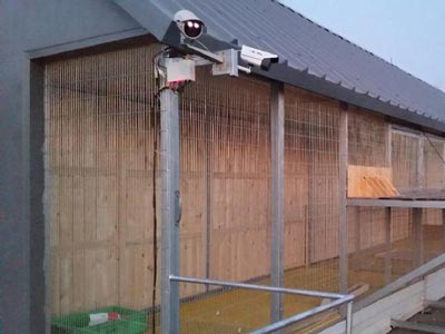 ��ս�Űܲ����٣��������������(ͼ)