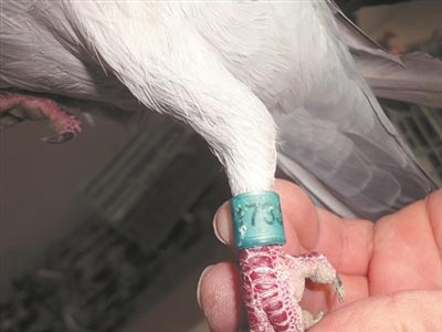 �����Ÿ��20�� ���ߴ�88��(ͼ)