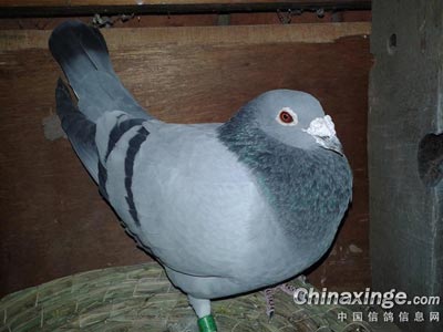 ���Լ��ĸ��� �ñ���˵ȥ��(ͼ)