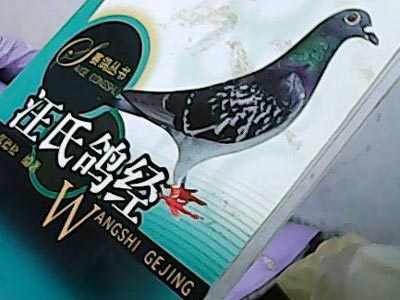 ���ϸ뾭�иУ���ѧ����Ҫʵ������