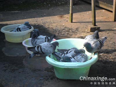 ������ϴ�裺�д����� �е���(ͼ)