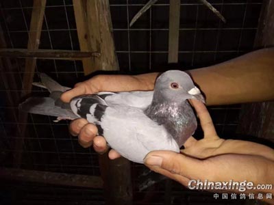 �������߰ٹ����λ����ȫ�Ҹ�(ͼ)