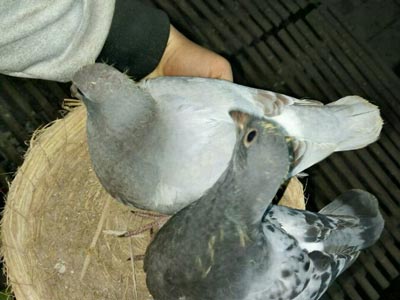 �����˶���ȫ�� ��������(ͼ)