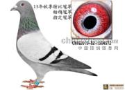 ˫�ھ��䣺�ܼ������ھ�����(ͼ)