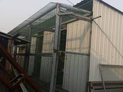 �ҵ��¸��� ����̫��ʵ�ˣ�(ͼ)