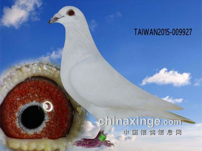 �������ǵĶ�������ǣ���ѩ�ϲ�ϵ(ͼ)