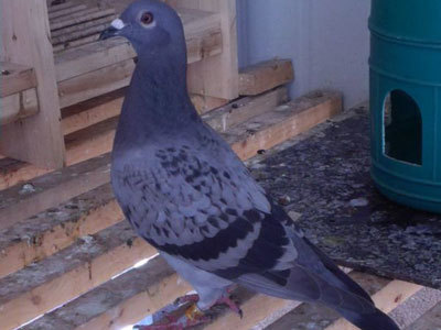 �����ع飺��ٹ��������������