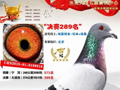 ������3830Ԫ Ϊɶ�Ҿ�����Ӯ��(ͼ)