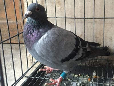 Ҫ��Ҫ�����������ˣ�(ͼ)