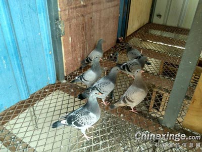 ����Χ�ۣ�2016��һ���׸뿪�ҿ���(ͼ)