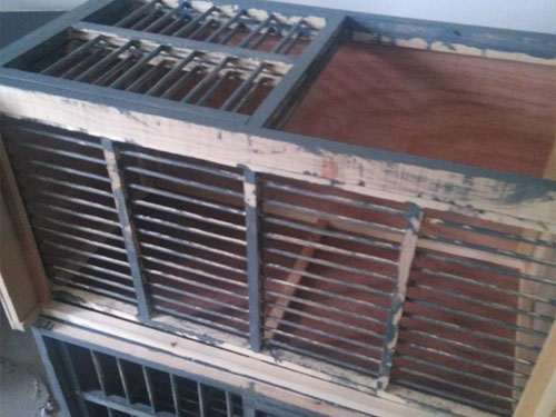 û�����ˣ�ĳ����������(ͼ)