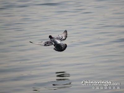 �������ղ��� ������¹滮���