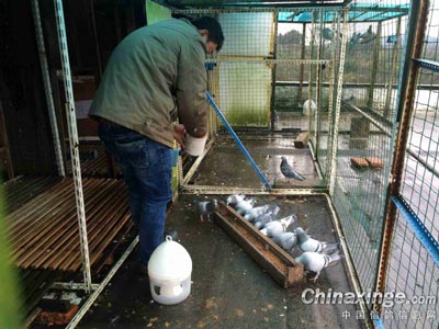 ������ש��������ҵø������(ͼ)