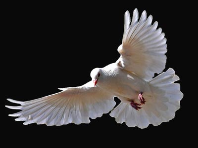 ج�ε����򣺸��ӵĵ�λ�ѳ�����