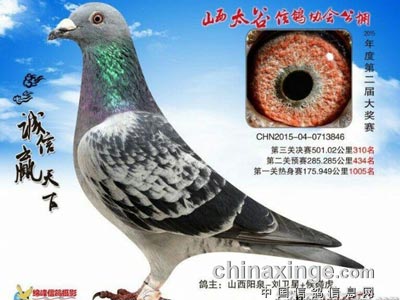 �Ÿ�ǿ��֮·��������ǧ�������£�ͼ��