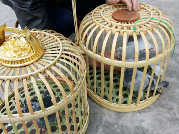 稀罕物：爷爷纯手工做鸽笼(图)