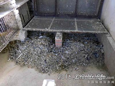 ���Ѵ�ɨ����ɨ�߰˴��� �۵ù�Ǻ��(ͼ)