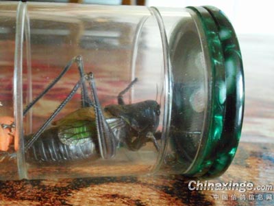 ���롱����Ψһ(ͼ)