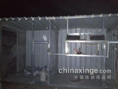 ��ҹ�Ӱຸ �¸������ڿ�����(ͼ)