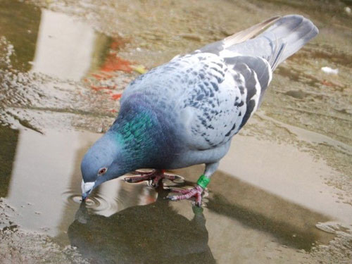 ������������ؼ�