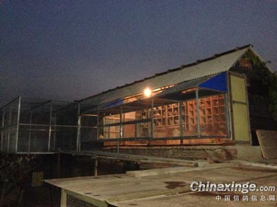 �Ľ������������ӭ�´�(ͼ)