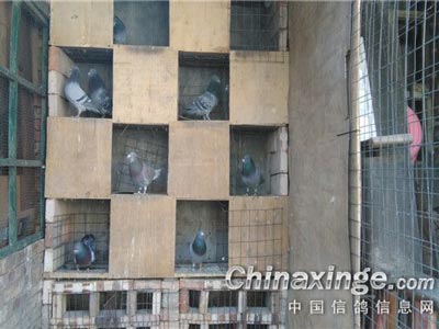 �״κ϶Ժܺ�г ֻ��һ�ˡ��ֶ�����(ͼ)