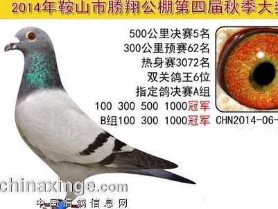 ���͡�һ��β�� ��ٹ���Ҳ�ܿ죡(ͼ)