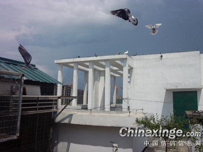 �ɶ񣡴����رȾŸ�β���޹�����