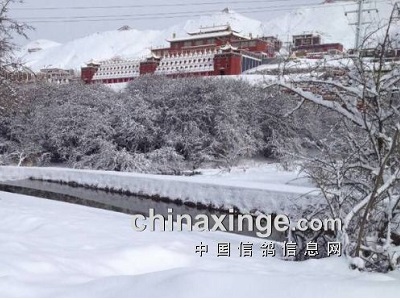 ��Ƶ��ѩ���������¸��Ѱ����ˣ�