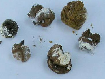 �۲�����жϸ��ӵļ���