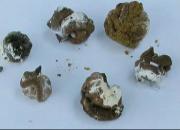 �۲�����жϸ��ӵļ���
