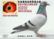 û�к������Ĺ���񽱸�(ͼ)