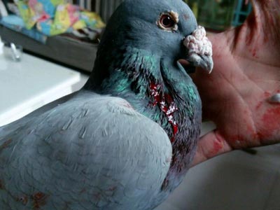 ��������λ ���ٺ�è��Ҳ������(ͼ)