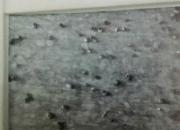 ���ݸ���жϲ���(ͼ)