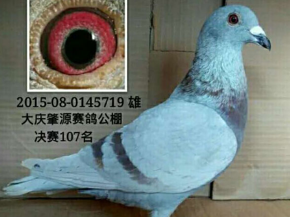 �����𣺳����ġ��񽱸롱(ͼ)